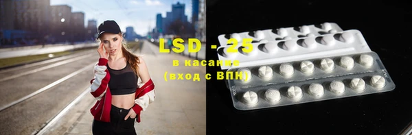 ПСИЛОЦИБИНОВЫЕ ГРИБЫ Вязьма