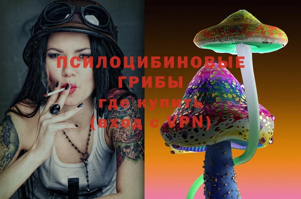 ПСИЛОЦИБИНОВЫЕ ГРИБЫ Вязьма
