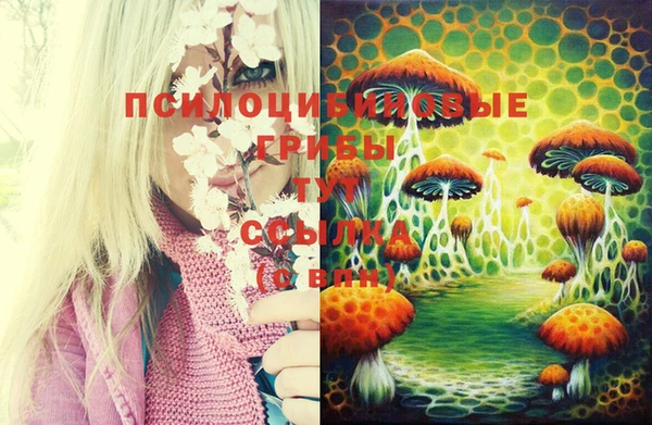 марихуана Горно-Алтайск