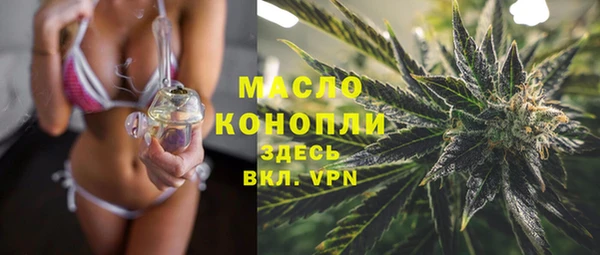 твердый Вяземский