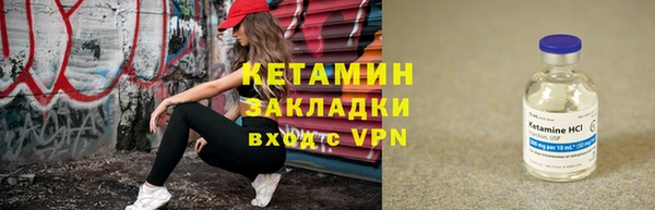шишки Белая Холуница