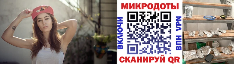 Галлюциногенные грибы ЛСД Западная Двина